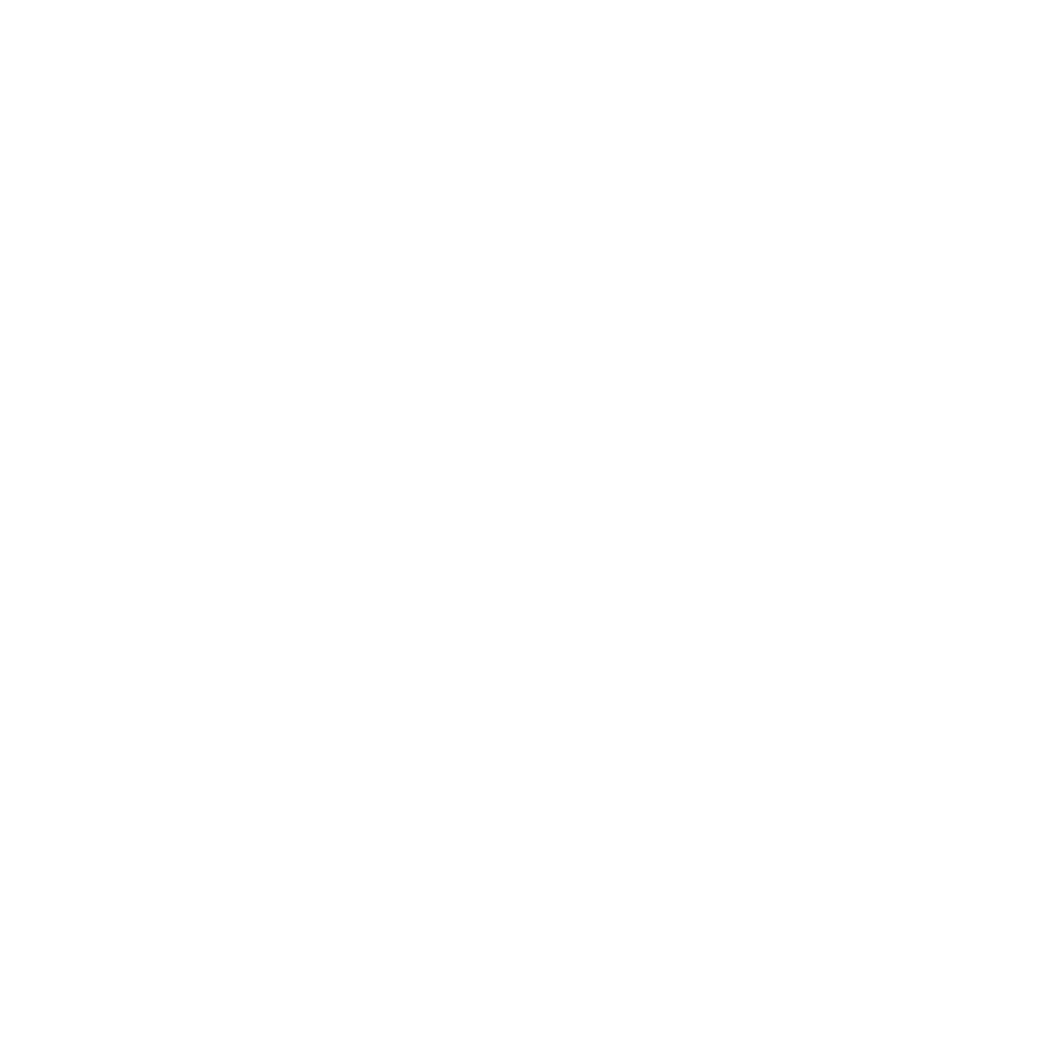 Newberry, South Carolina Big city amenities, small town charm Retail